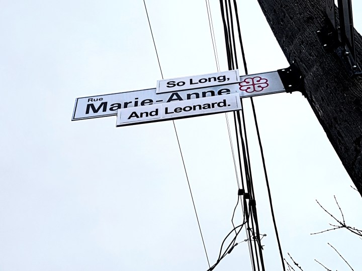 So_Long_Marianne_And_Leonard_(30855565901)